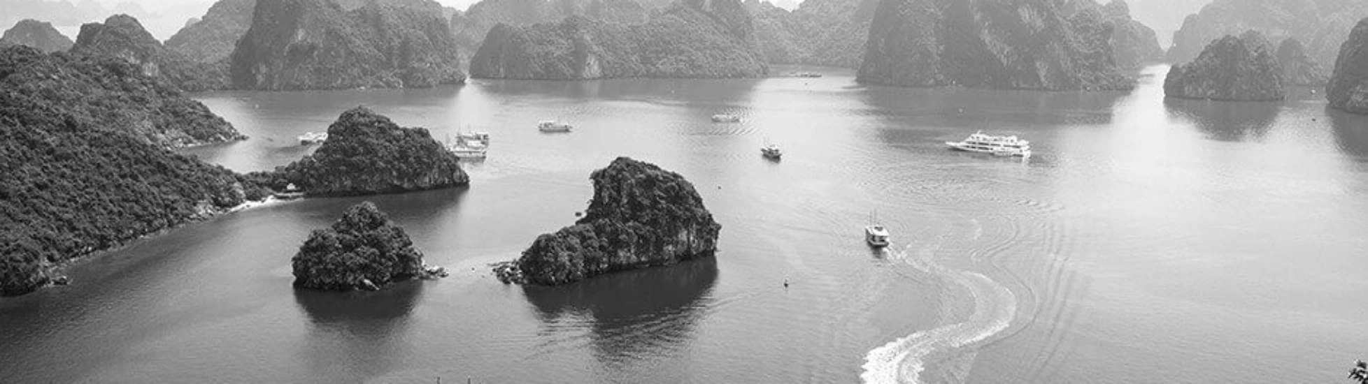 Brazil Country Report