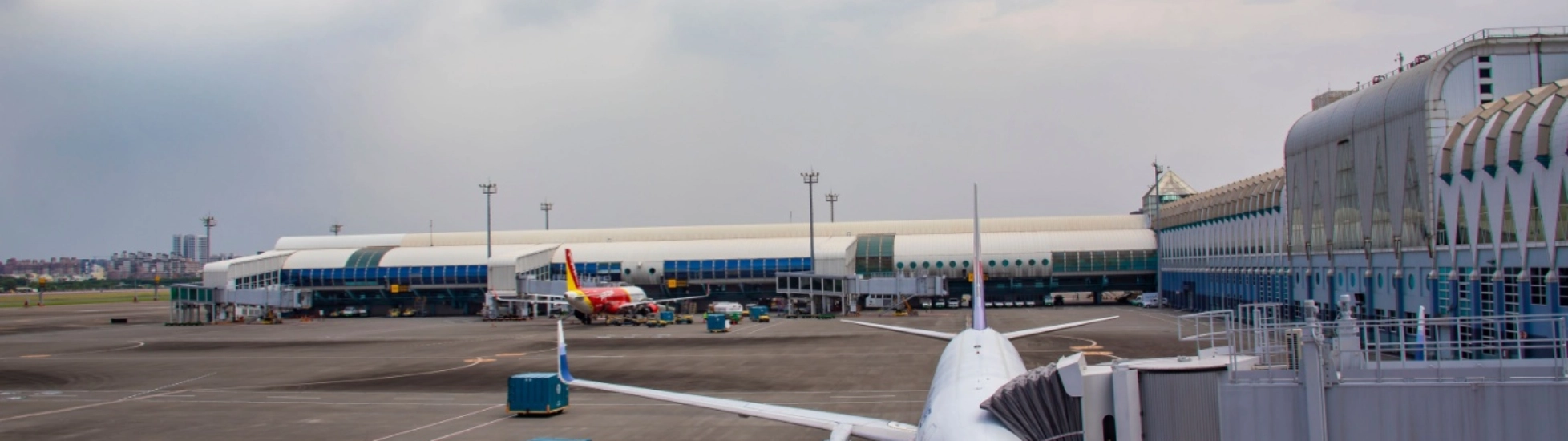 what is international trade insurance