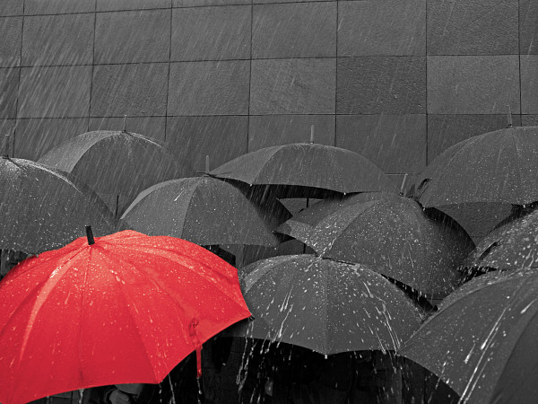 industry outlook rain umbrella teaser image